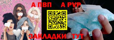 гашик Кингисепп