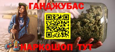гашик Кингисепп