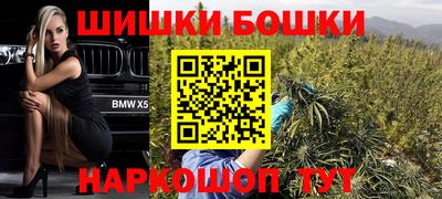 гашик Кингисепп