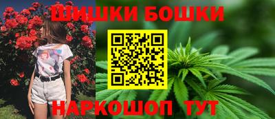 гашик Кингисепп