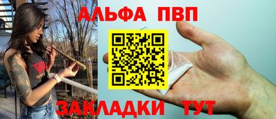гашик Кингисепп