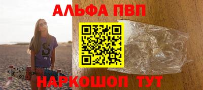 гашик Кингисепп