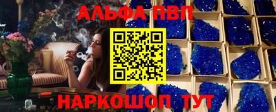 гашик Кингисепп
