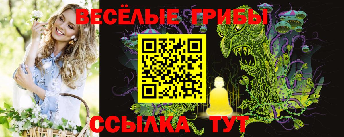 Псилоцибиновые грибы MAGIC MUSHROOMS  Вход с VPN  Краснодар 